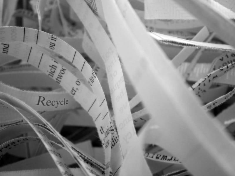 An image of shredded paper with words printed on them